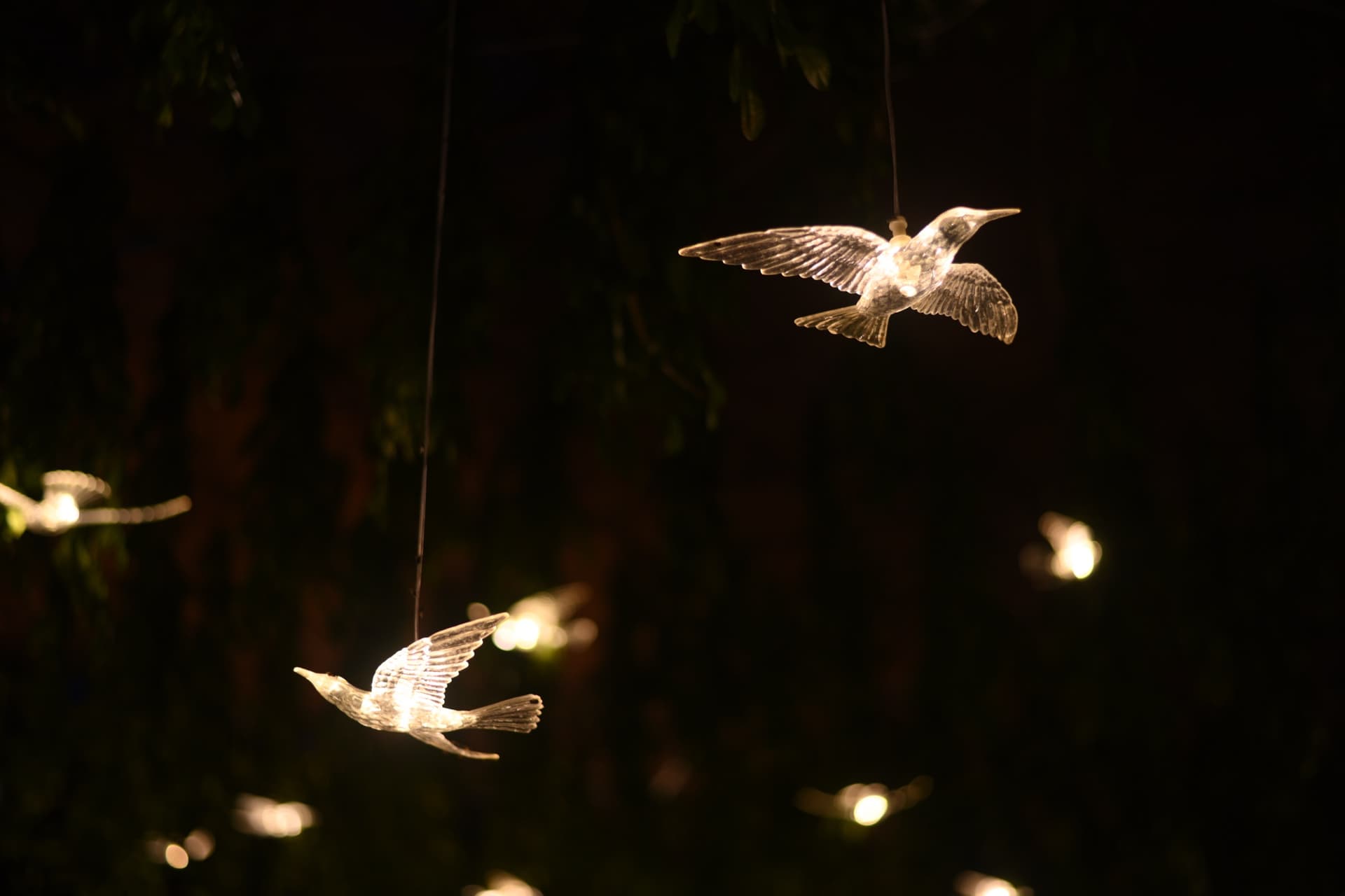 Illuminated bird ornaments strung through hanging greenery