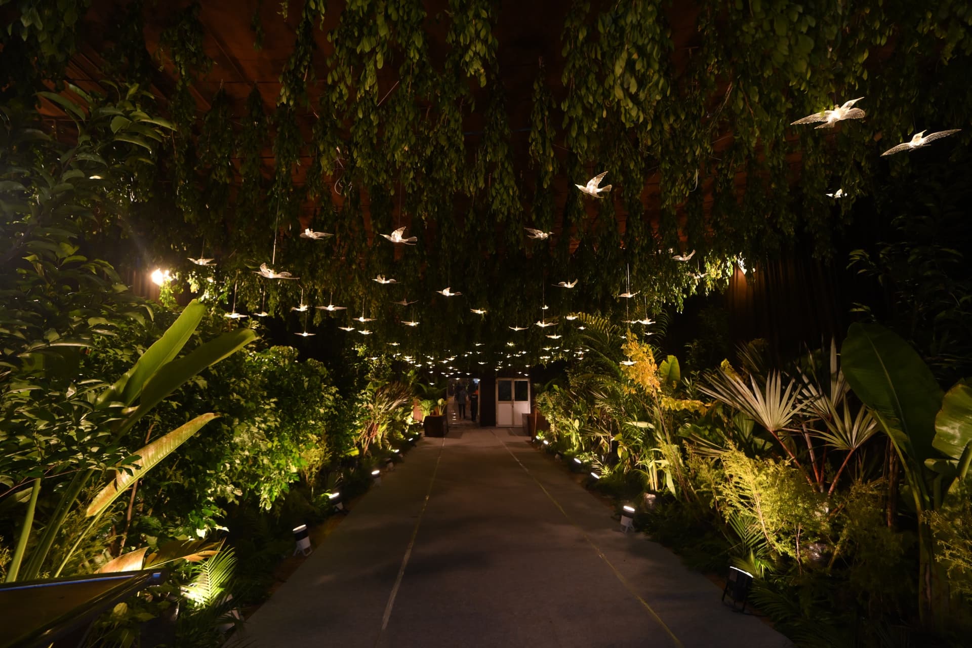 Illuminated bird-ornament installation over a garden entrance walkway