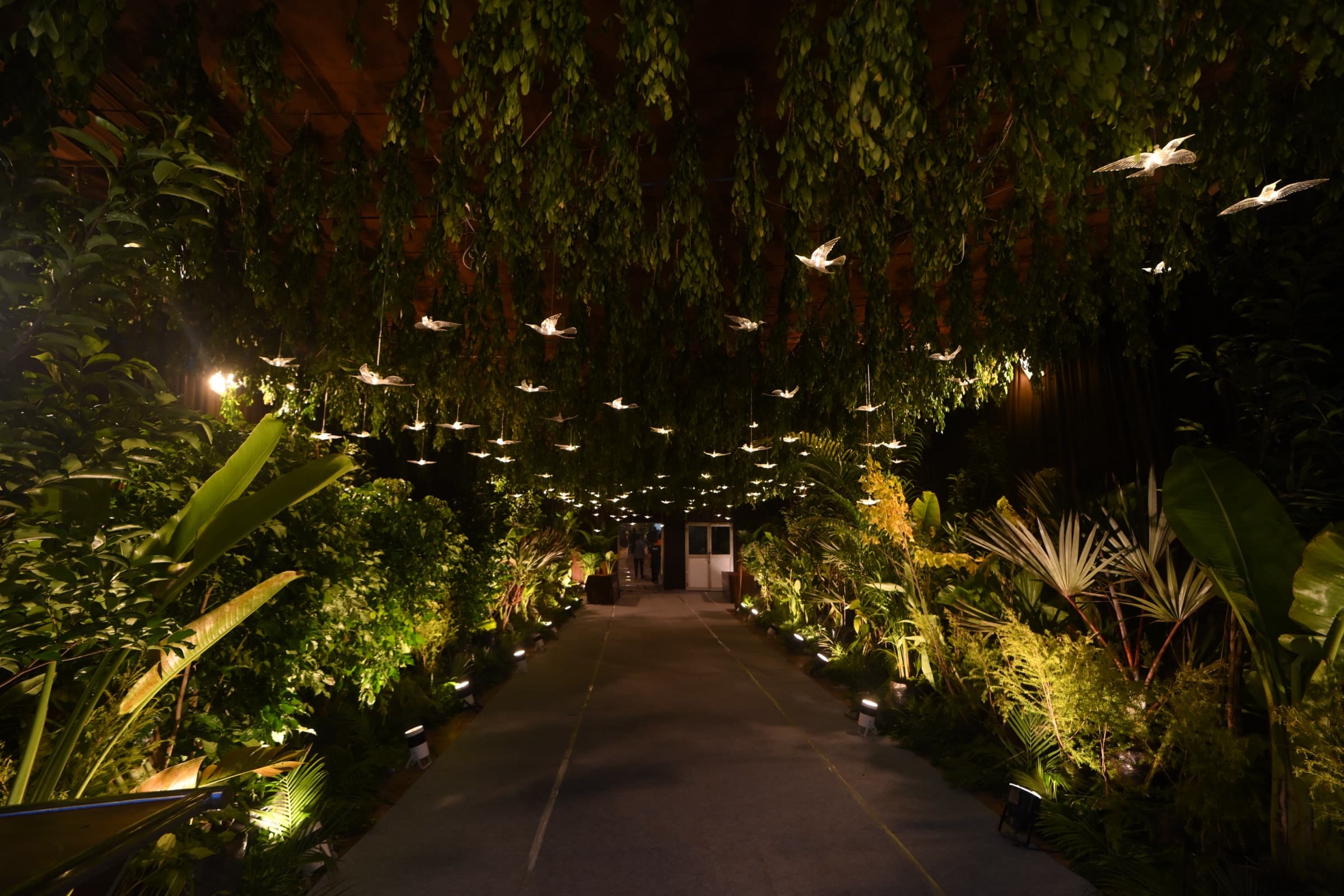 Illuminated bird-ornament installation over a garden entrance walkway